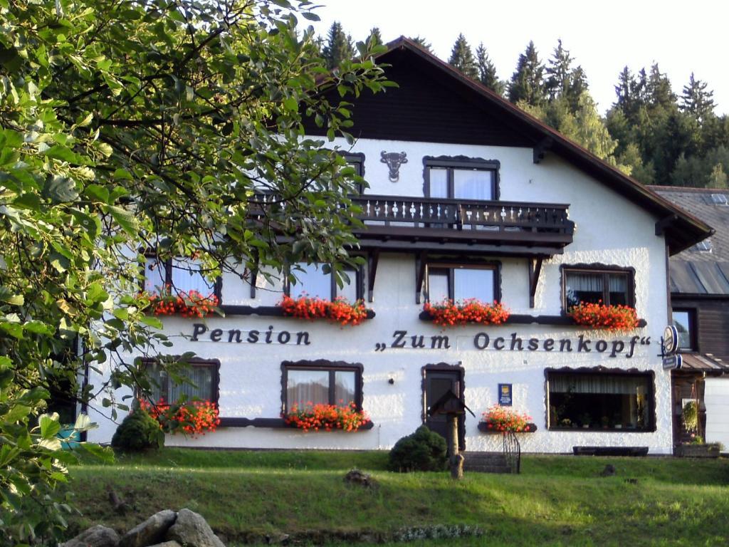 Hotel Am Ochsenkopf à Bischofsgrün Extérieur photo