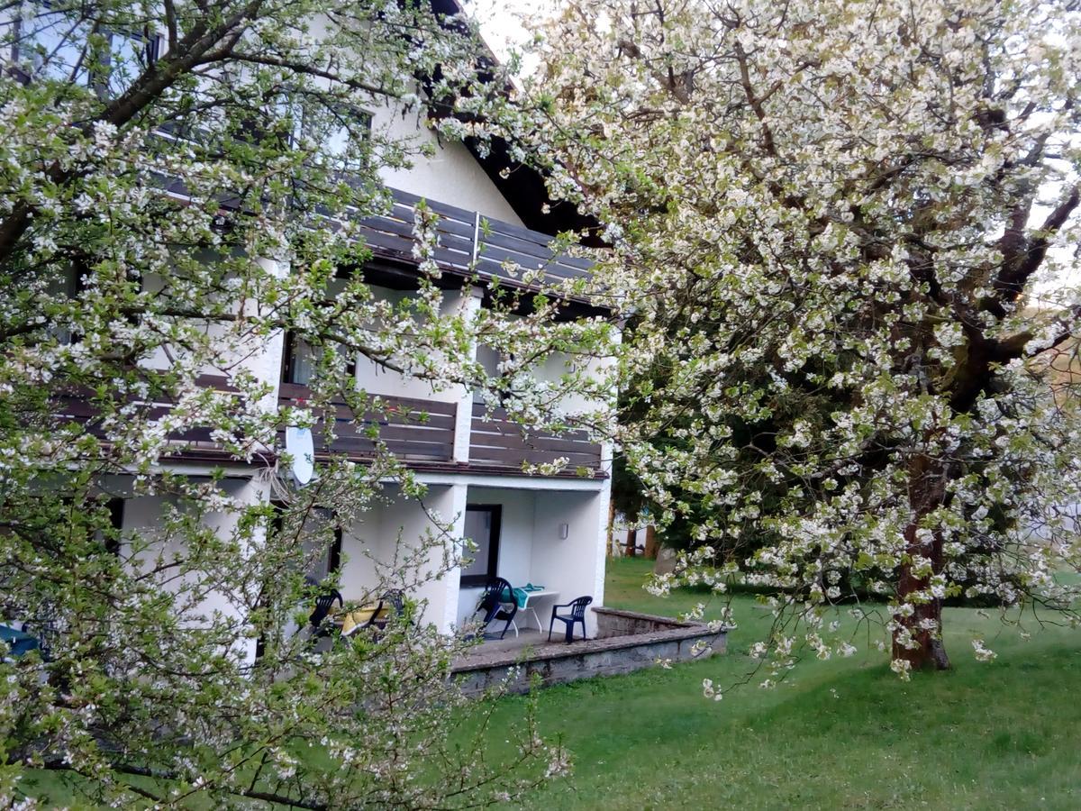 Hotel Am Ochsenkopf à Bischofsgrün Extérieur photo